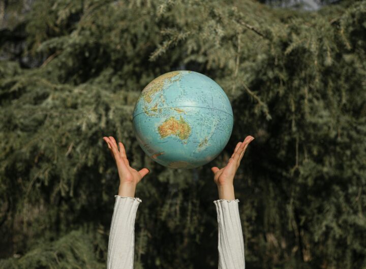 Hands raising a globe against a lush green tree backdrop, symbolizing environmental awareness.