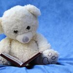 still life, teddy, white, read, a book, background blue, still life, still life, still life, teddy, teddy, teddy, teddy, teddy, a book, a book, a book, a book