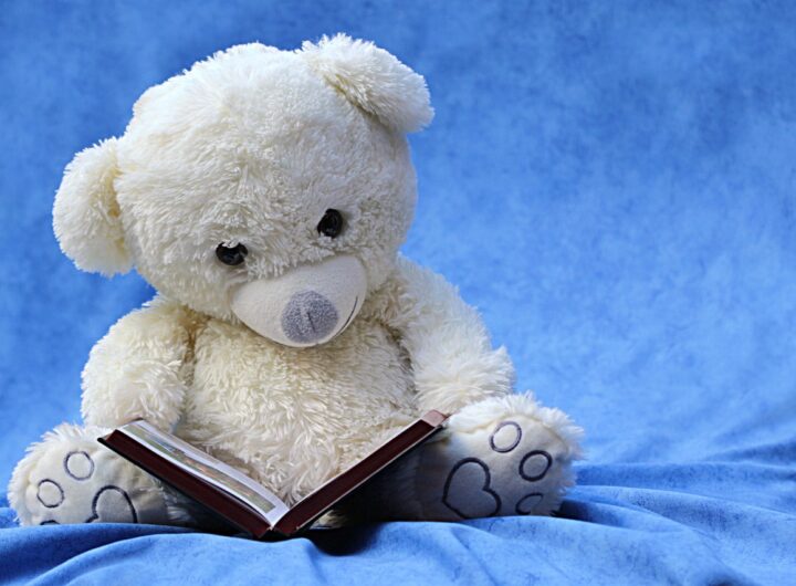 still life, teddy, white, read, a book, background blue, still life, still life, still life, teddy, teddy, teddy, teddy, teddy, a book, a book, a book, a book